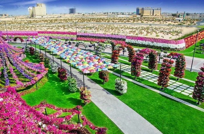 Dubai Miracle Garden